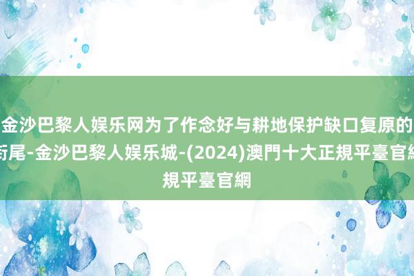 金沙巴黎人娱乐网为了作念好与耕地保护缺口复原的衔尾-金沙巴黎人娱乐城-(2024)澳門十大正規平臺官網